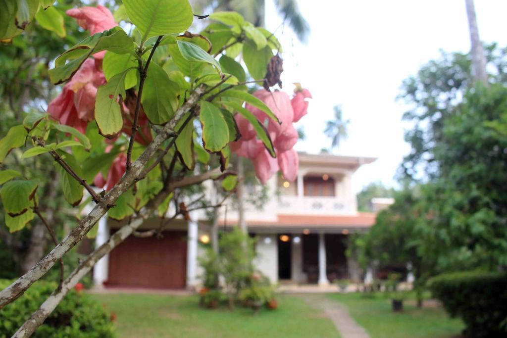Anura Home Stay カルータラ エクステリア 写真